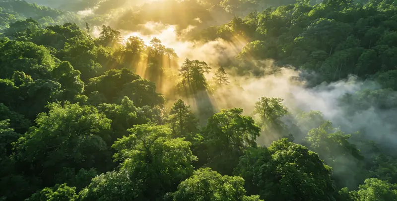 上海肺癌120基因ctDNA突变检测(血液）图片1