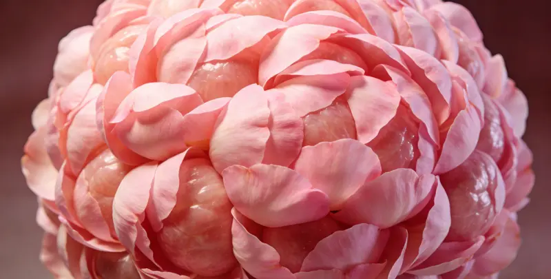 上海BRCA1/2乳腺癌卵巢癌基因检测图片1