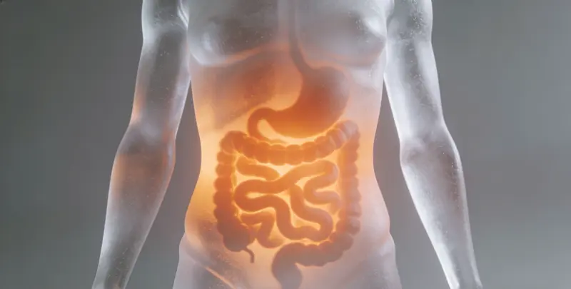 上海胃癌靶向用药39基因检测（组织）图片1